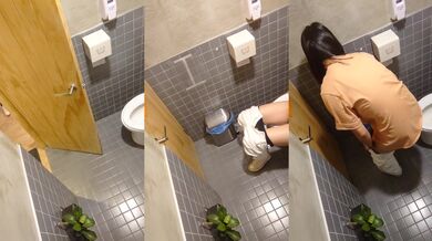 TW巅峰厕拍✅冒死闯入女神私密空间偷拍文青女孩，气质人妻，学生小妹入厕 (8)